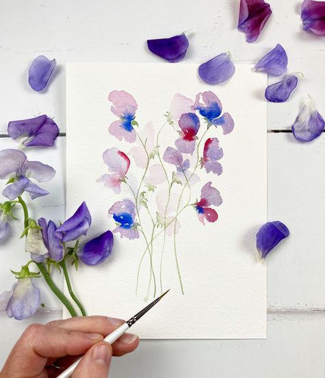 This is the easiest method to paint sweet peas - anyone can do it! Paint pink, purple and blue loose watercolour sweet peas now by clicking the link. #watercolour #sweetpeas #painting Sweet Peas Painting, Watercolour Sweet Pea, Sweet Pea Flowers Watercolor, Watercolor Sweet Peas, Sweet Pea Watercolor, Sweet Peas Flowers, 2024 Watercolor, Loose Watercolour, Sweet Pea Plant