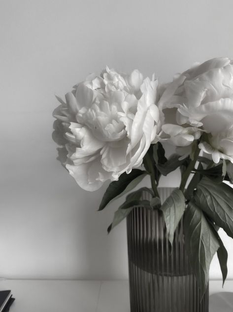 Plants Are Friends, Peonies Bouquet, Flower Therapy, White Peonies, New Wall, Green Aesthetic, Flower Wallpaper, My Flower, Pretty Flowers