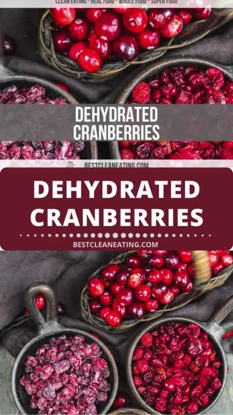 Create your own Homemade Dehydrated Cranberries for a versatile and delicious snack! These tart and sweet dried cranberries are perfect for adding to salads, baking into muffins, or enjoying on their own as a healthy snack. Easy to make with a dehydrator or oven, they're a convenient pantry staple for adding a burst of flavor to your favorite recipes. Dehydrated Gift Ideas, Dehydrated Veggie Snacks, How To Dehydrate Without A Dehydrator, Dehydrated Cranberry Recipes, Fruits To Dehydrate, Fun Things To Dehydrate, Dehydrate Cranberries In Dehydrator, Dehydrated Green Onions, Drying Cranberries In Dehydrator