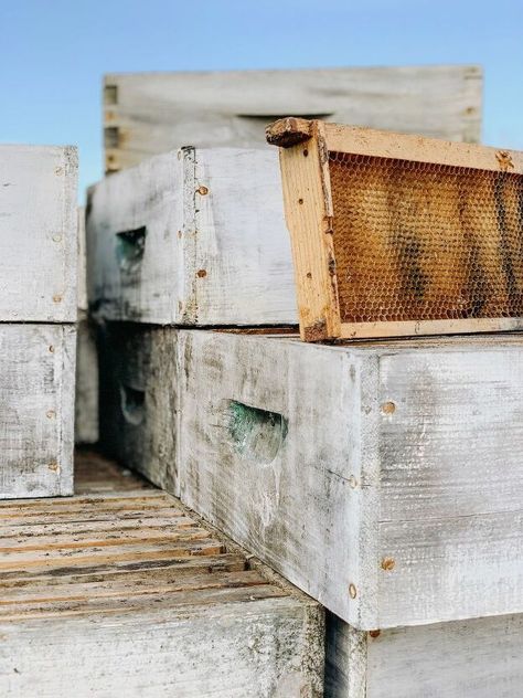 I picked up almost 150 shallow bee boxes for a big spring market that I would be a part of back in May.  Kyle: “What are you going to do with all them?!” Me: “Trust me. They’ll sell.”    You can checked out just how many bee boxes I hauled to Lucketts in the video as well as a short version of their repurposing!    It didn't look like that many on the trailer but after putting them on and taking them off.... It felt more like 1,0000.    The thing about most bee boxes is that they don’… Apple Crate Shelves, Unique Accent Wall, Bee Hives Boxes, Distressing Painted Wood, Crate Bench, Hand Water Pump, Diy Stained Glass Window, Spring Market, Diy Hanging Shelves