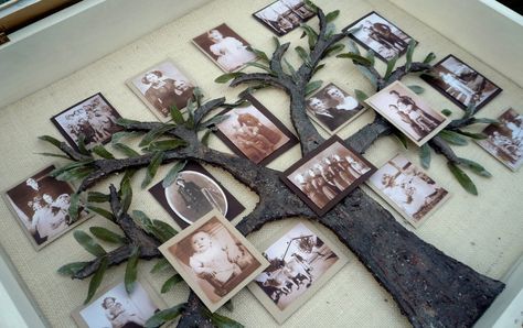 Shadow Box Family Tree Make A Family Tree, Family Tree With Pictures, Tree Shadow, Photo Craft, Shadow Boxes, Diy Projects To Try, Family Reunion, Photo Displays, Family Tree