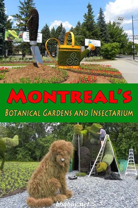 Everything you need to know about the highlights of  Montreal's Botanical Gardens #Montreal #BotanicalGardens #Canada #travel Us Botanic Garden Washington Dc, Montreal Biosphere, St Louis Botanical Garden, Montreal Insectarium, Visit Montreal, Montreal Botanical Garden, Long Term Travel, Full Time Travel, Of Montreal