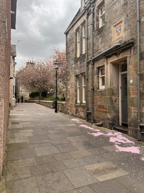 St Edwards University, St Andrews Aesthetic, St Andrews University Aesthetic, Saint Andrews University, Masters Abroad, St Andrews Scotland University Of, St Andrews University, St Andrews Cathedral, Saint Andrews