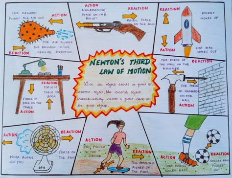 Newtons Laws Of Motion Science Project, Newtons Laws Of Motion Poster Project, Newtons Laws Of Motion Poster, Newton's Third Law Of Motion, Teaching Physics, Newton's First Law Of Motion, Newtons Third Law, Newtons Third Law Of Motion, Newton's Second Law