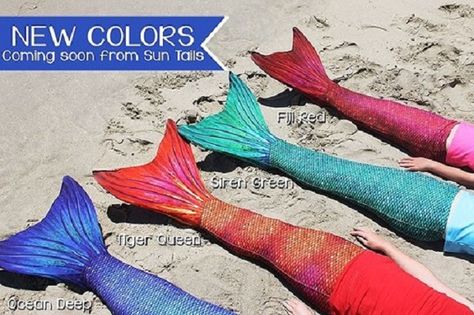 Sneak Peek at our new SunTail Mermaid Tail Colors - Sun Tail Mermaid Realistic Mermaid Tails, Tail Mermaid, Realistic Mermaid, Mermaid Tails, Mermaid Tail, Laguna Beach, Sneak Peek, New Color, Mermaid