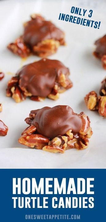 Homemade Turtles Candy. With just four simple ingredients you can have an elegant homemade candy ready for giving! Lightly toast pecans, drizzle with caramel, and top with melted chocolate. Easy Turtles, Pecan Turtles Recipe, Candles Recipe, Toast Pecans, Turtle Candies, Turtles Recipe, Homemade Turtles, Turtle Recipe, Turtles Candy