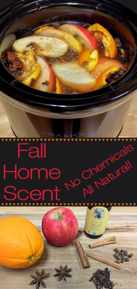 Fall Home Scent by Foodie Home Chef is a chemical free, all natural recipe that will have your home smelling like all the comforting scents of Fall. It takes several hours to start wafting through your house, but once it does... it smells heavenly! You can make this either in a small crock-pot or on your stove top. #FallHomeScent #NaturalHomeScent #NaturalPotpourri #ChemicalFreeHomeScent #CrockPotRecipes #Fall #FallRecipes #AutumnRecipes ecipes #Thanksgiving #foodiehomechef @foodiehomechef Small Crock Pot, Christmas Feast, House Smell Good, Recipes Thanksgiving, Tandoori Masala, Food Diet, Home Scents, Fall Home, House Smells