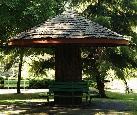 Mushroom Bench, Hill Park, Beacon Hill, Class Ideas, How To Build, Gazebo, Furniture Design, Stuffed Mushrooms, Bench