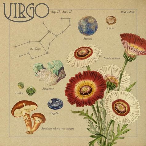 Virgo Art, Virgo Season, Old Images, Zodiac Art, Virgo Zodiac, Green Witch, Wall Collage, Unframed Prints, Vintage Posters