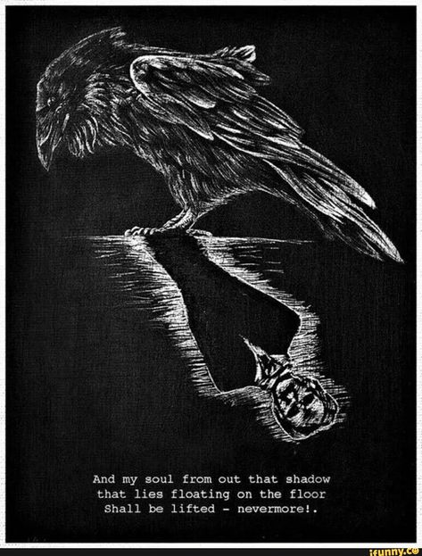 Not interested in the Poe reflection but I like the white-on-black art style and I think we should consider that as the look for our website (with hints of color) Allen Poe, Edgar Allen Poe, The Raven, Edgar Allan, Edgar Allan Poe, White, Black