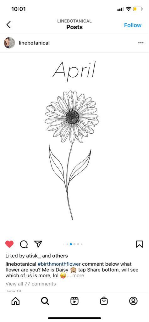 Daisy Birth Tattoo, Detailed Daisy Tattoo, Single Daisy Drawing, Daisy Sketch Tattoo, Birth Flower Daisy Tattoo, Daisy April Tattoo, April Daisy Tattoo, Daisy Aries Tattoo, Daisy Tattoo On Shoulder