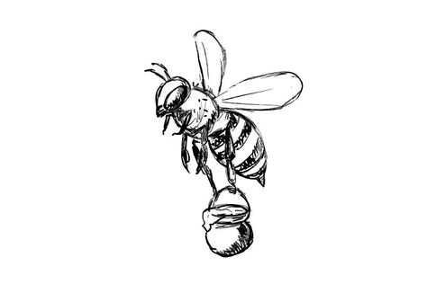 Honey Bee Carrying Pail of Honey , #sponsored, #carrying#bee#flying#pail #AD Bee Drawing Tattoo, Honeycomb Bee Tattoo, Bee Tattoo Drawing, Cartoon Bee Tattoo, Bee Tattoo Design, Honey Bee Drawing, Drawing Tattoo Ideas, Bee Sketch, Cute Honey Bee