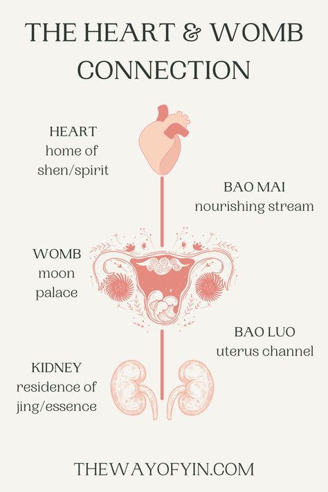 Womb Throat Connection, Chinese Medicine Fertility, Womb Healing For Women, Womb Connection, Love In Chinese, Healthy Period, Receive Love, Womb Healing, Give And Receive