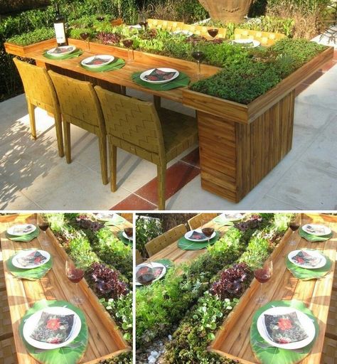 True salad bar Pallet Furniture Plans, Casa Hobbit, Pallet Garden Furniture, Pallet Patio, Planter Table, Diy Garden Furniture, Pallet Garden, Pallets Garden, Pergola Patio