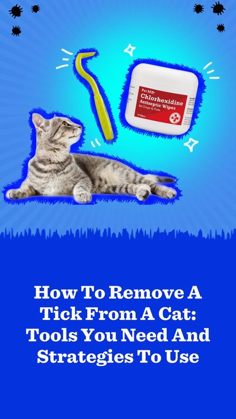 Ticks are awful pests. Here’s how to remove a tick from a cat if you ever see one latched on to him. Ticks On Cats, Types Of Ticks, Remove Wallpaper, Tick Removal, Cat Biting, Cat Skin, Tick Prevention, How To Hang Wallpaper, Outdoor Cats