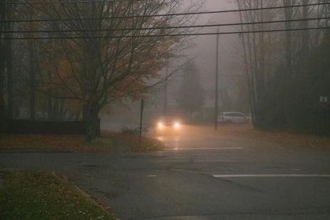 Phoebe Bridgers Aesthetic, Stranger In The Alps, Foggy Weather, Fall Mood Board, Phoebe Bridgers, Halloween Day, Season Of The Witch, Halloween Aesthetic, The Alps