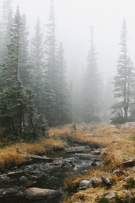 foggy rocky mountain national park dream lake hike Rocky Mountains Aesthetic, Park Ranger Aesthetic, Ranger Aesthetic, Rocky Mountain National Park Engagement, Foggy Lake, Mountain Aesthetic, Mountains Aesthetic, Foggy Mountains, Park Ranger