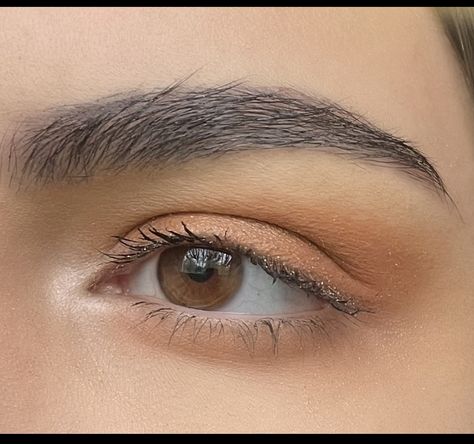 Brown Eyeshadow Natural, Simple Brown Eyeshadow, Light Neutral Eyeshadow, Neutral Easy Eyeshadow, Basic Brown Eyeshadow, Neutral Eyes, Natural Eyeshadow, Brown Eyeshadow, Brown Eyes