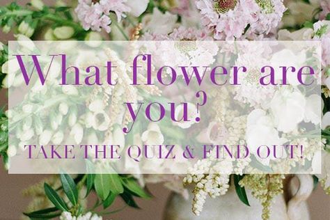 For those who love inspirational design ideas for inside and outside their home Quiz Background, Flower Anatomy, Flower Magazine, Floral Arranging, Favorite Flower, Flower Names, Popular Art, Garden Club, Personality Quiz