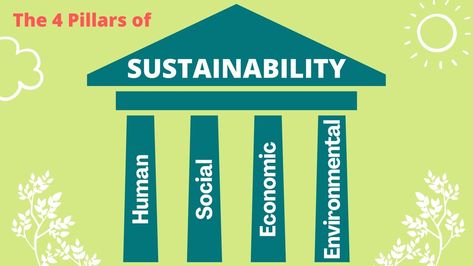 The 4 Pillars Of Sustainability EXPLAINED - Sustainability Success Sustainability Infographic, 4 Pillars, School Board Decoration, Corporate Strategy, Grade 7, Corporate Social Responsibility, Sustainable Development Goals, Board Decoration, Sustainable Business