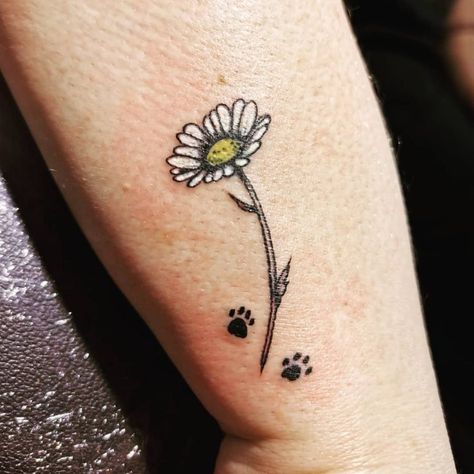 Top 107 Best Daisy Tattoos [2020 Inspiration Guide] - Next Luxury Daisy Paw Print Tattoo, Paw Print Daisy Tattoo, Small Daisy Tattoos For Women, Paw Print Tattoo Dog Daisy, Unique Daisy Tattoo, Cat And Daisy Tattoo, Daisy Flower Tattoo, White Daisy Tattoo, Small Daisy Tattoo