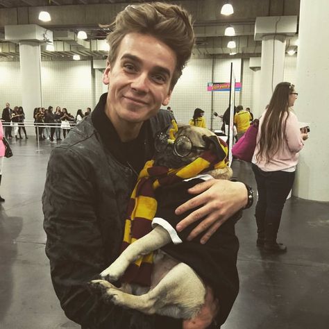 joe sugg with a pug  #thatcherjoe #joesugg #perfection Caspar Lee, Doug The Pug, Ricky Dillon, Golden Retriever Funny, British Youtubers, Joey Graceffa, Joe Sugg, Kian Lawley, Pug Shirt