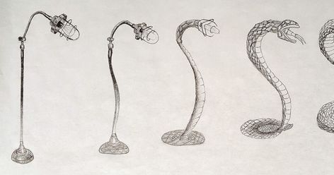 Metamorphosis Transformation from Object to Animal  Willow Ethan L  Andrea  Nadia  Rylie  Nathan  Helena  A... Metamorphosis Drawing, Metamorphosis Art, Evolution Art, Double Exposition, High School Art Projects, Object Drawing, School Art Projects, High School Art, Middle School Art