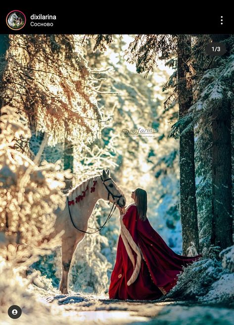 Horse Christmas Pictures, Winter Senior Pictures, Horse Photoshoot Ideas, Horse Photography Poses, Pictures With Horses, Snow Photoshoot, Winter Horse, Horse Wedding, Horse Photo