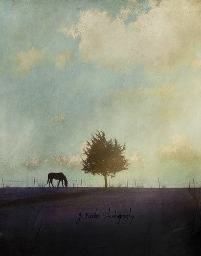 Jamie Heiden, Fancy Art, Encaustic Art, Watercolor Landscape Paintings, Minimalist Painting, Tree Drawing, Vintage Landscape, Landscape Artist, Beetles