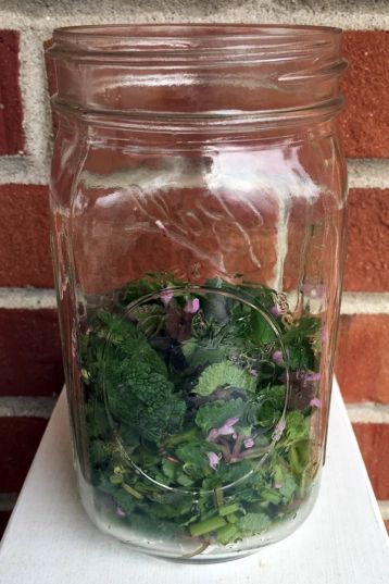 Allergy Sufferers Get Ahead with Purple Dead-nettle | Wisdom of the Plant Devas Midwest Foraging, Nettle Infusion, Purple Dead Nettle, Nettle Tincture, Nettle Recipes, Medicine Plants, Medicinal Weeds, Tinctures Recipes, A New Earth