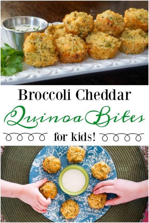 Quinoa For Toddlers, Quinoa Recipes For Baby, Broccoli Bites Baby, Toddler Broccoli Bites, Broccoli Cheddar Bites Toddler, Quinoa Bites, Baby Led Weaning Recipes, Weaning Recipes, Broccoli Cheddar