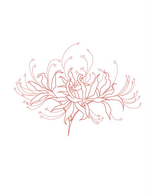 Lily Ornamental Tattoo, Spider Lily Tattoo Outline, Spider Lily Tramp Stamp, Spider Lily Tattoo Design, Spider Lily Drawing, Lilly Flower Drawing, Spider Lily Tattoo, Infinity Tattoo With Feather, Lily Tattoo Design