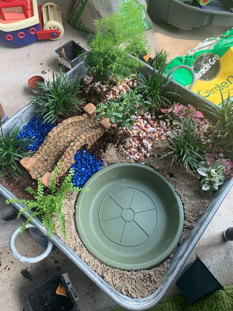 Dinosaur Fairy Garden Ideas, Dinosaur Garden For Kids, Dinosaur Habitat, Tartaruga Habitat, Dino Garden, Fairy Garden Table, Kids Fairy Garden, Dinosaur Garden, Habitats Projects