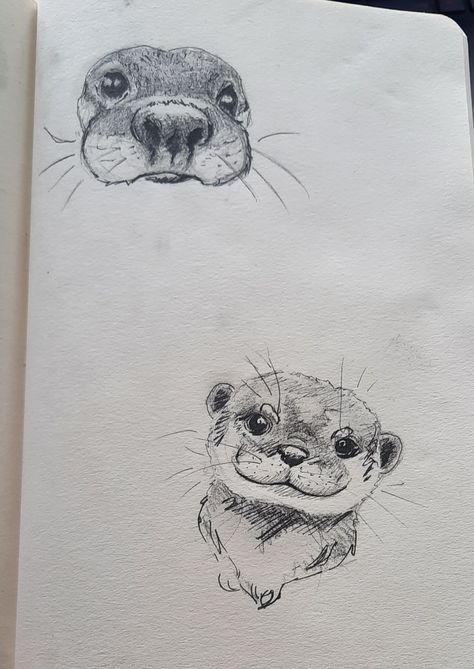 Two drawn cute otters Sea Otter Sketch, Simple Otter Drawing, How To Draw Otter, How To Draw An Otter, Otter Drawing Sketches, River Otter Drawing, Otter Drawing Simple, Otter Tattoo Simple, Otters Drawing