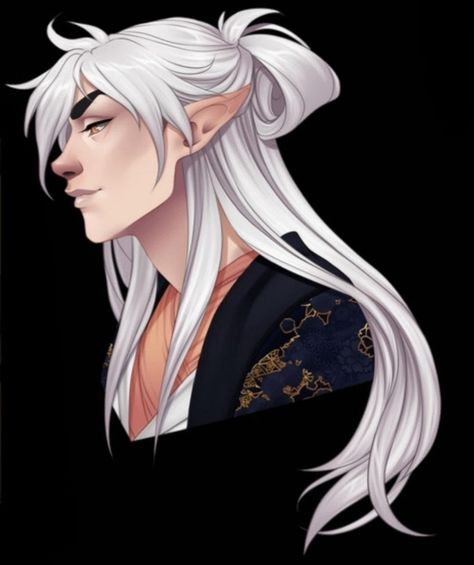 Pale Elf, Elf Hair, Moon Elf, Male Elf, Pale Moon, Elf Art, Concept Ideas, Character Aesthetics, Character Inspo