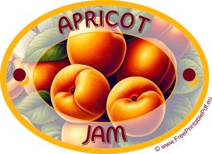 Elegant oval label with a drawing of an apricot and the inscription APRICOT JAM. Jam Labels Design, Jam Jar Labels Printable, Peach Jam Labels Free Printable, Jam Jar Labels Design, Preserves Labels, Jam Labels, Jam Jar Labels, Jam Label, Sticker Printer