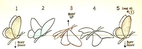 Flying Butterfly Drawing, 2d Animation Tutorial, Animation Reference Step By Step, Butterfly Movement Drawing, Animation Sequence, Animation Template, Wings Flapping Animation, Animation Concept Art, How To Animate Wings