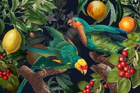 Tropical Illustration Graphics, Tropical Jungle Aesthetic, Jungle Art Tropical, Iphone Wallpaper Orange, Wallpapers 2023, Wallpaper Jungle, Jungle Painting, Wallpaper Tropical, Tropical Art Print