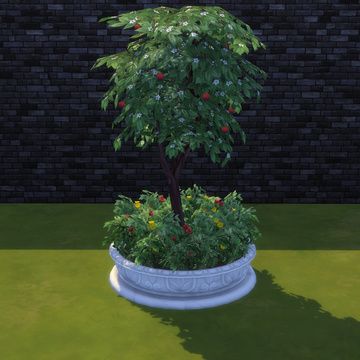 Sims 4 Climbing Plants, Sims 4 Cc Climbing Plant, Sims 4 Planter Box Cc, Plantsim Cc Sims 4, Sims 4 Harvestable Plants, Tree Bench, Tree Planters, Garden Planter Boxes, Plant Box