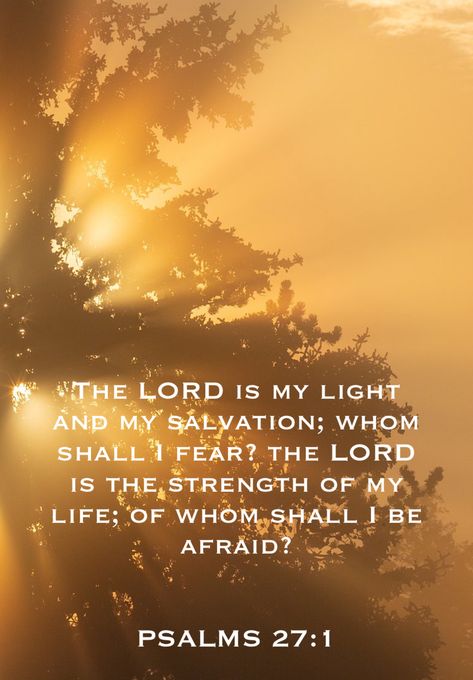 Emergency Prayers, Whom Shall I Fear, Psalm 27 1, The Lord Is My Light, Fear The Lord, Bible Verse Wall Decals, Bible Words Images, Spirit Quotes, Gods Love Quotes