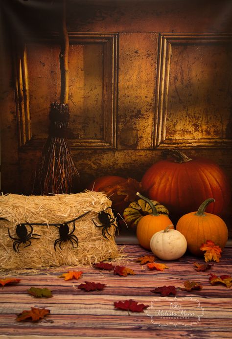 Fall/Halloween Photography Backdrop & Props. Set Halloween Fotografia, Halloween Photography Backdrop, Backdrop Props, Pumpkin Patch Photoshoot, Photo Halloween, Halloween Photography, Halloween Backdrop, Halloween Photo, Fall Background