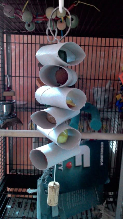 Parrot Toys Diy, Rat Enrichment, Bird Enrichment, Diy Rat Toys, Diy Bunny Toys, Bunny Care Tips, Homemade Bird Toys, Budgies Parrot, Handmade Bird Toys