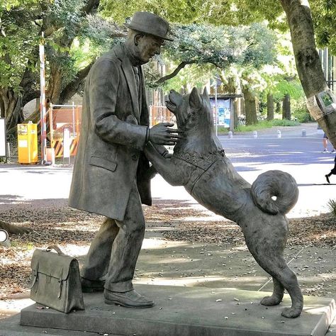 Visit Japan: Many people are familiar with the statue of Hachiko in Shibuya, Tokyo, in memory... #Visitjapan, #Art, #VisitJapan, #VisitJapanAU https://www.alojapan.com/364299/visit-japan-many-people-are-familiar-with-the-statue-of-hachiko-in-shibuya-tokyo-in-memory/ . Hachiko Dog, Hachiko Statue, University Of Tokyo, Snow Puppy, Japanese Mythology, Shibuya Tokyo, Akita Dog, 80th Anniversary, The Loyal