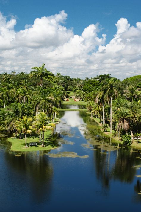 Fairchild Tropical Botanic Garden, Gardens Of The World, Longwood Gardens, Public Garden, Scenic Beauty, Botanic Garden, Veggie Garden, Tropical Garden, Types Of Plants