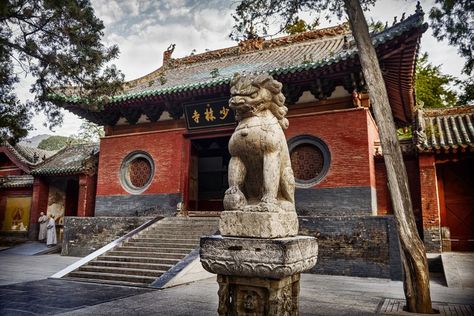 Shaolin Monastery, China Temple, Shaolin Temple, Kung Fu Kenny, Temple Grandin, Salt Lake City Temple, Water Temple, Temple India, Egyptian Temple