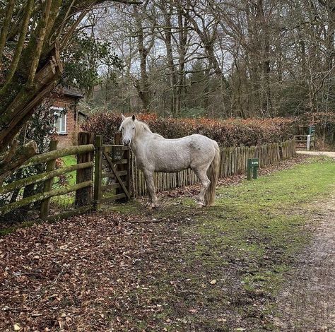 Vintage Farm Aesthetic, British Countryside Aesthetic, British Farm, Farm Aesthetic, British Country, Farm Fence, Romantic Cottage, British Countryside, Farms Living