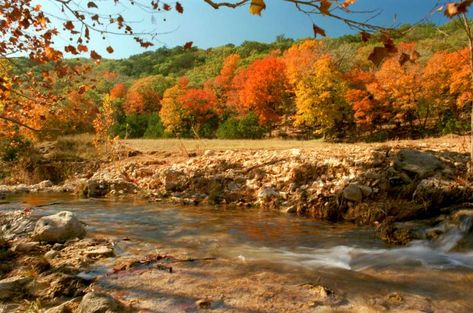 4 state parks near San Antonio to experience fall foliage Lost Maples State Park, Fall In Texas, Caddo Lake State Park, Camping In Texas, Texas State Parks, Best Road Trips, Guadalupe River, San Antonio River, Texas Parks