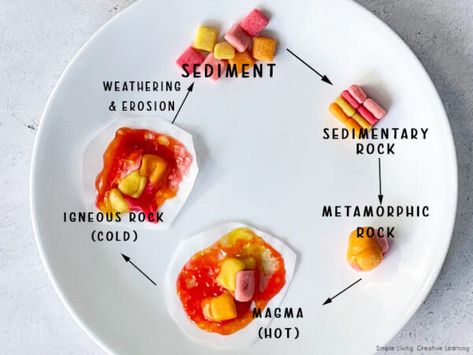 Starburst Rock Cycle Experiment - Simple Living. Creative Learning Grade 4 Rocks And Minerals, Starburst Rock Cycle Activity, Geology Activities For Kids, Rock Cycle Model, Starburst Rock Cycle, Rocks And Minerals Activities, Rock Cycle Project, Rock Cycle Activity, Geology Activities