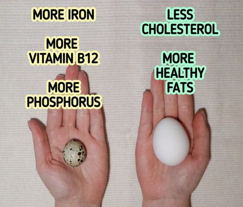 Quail Eggs Vs Chicken Eggs, Quail Eggs Benefits, Benefits Of Chicken, Medium Boiled Eggs, Egg Nutrition Facts, Egg Nutrition, Egg Benefits, Egg Protein, Raising Quail