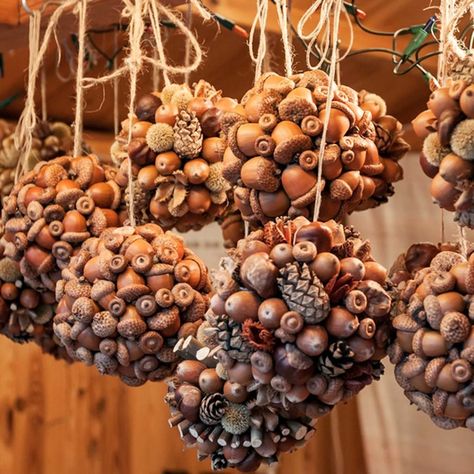 8 Things You Can Make With All of Those Acorns Simple Fall Crafts, Homemade Photo Frames, Acorn Wreath, Acorn Decorations, Outside Fall Decor, Acorn Crafts, Easy Fall Crafts, Cones Crafts, Pine Cone Crafts